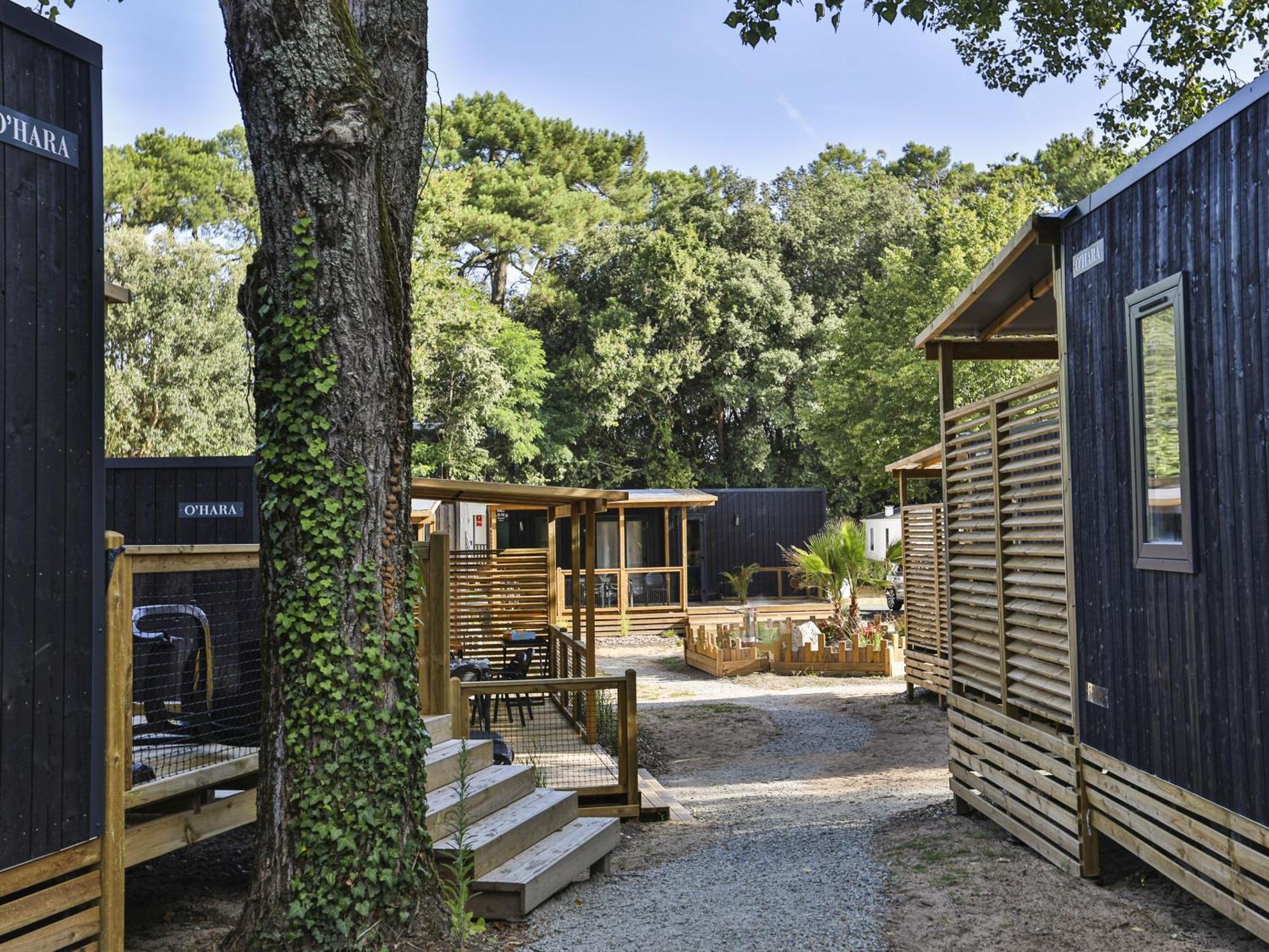 Domaine Residentiel De Plein Air Les Dunes Longeville-sur-Mer Exteriör bild